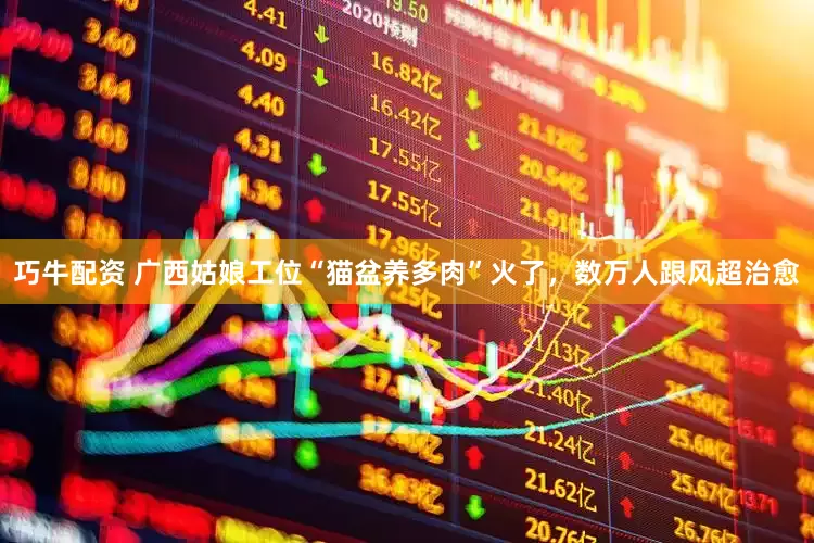巧牛配资 广西姑娘工位“猫盆养多肉”火了，数万人跟风超治愈