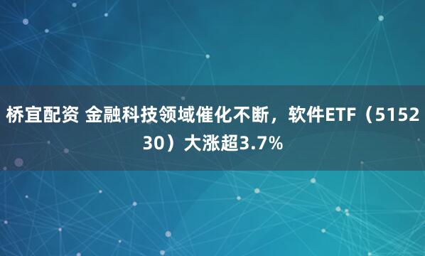 桥宜配资 金融科技领域催化不断，软件ETF（515230）大涨超3.7%