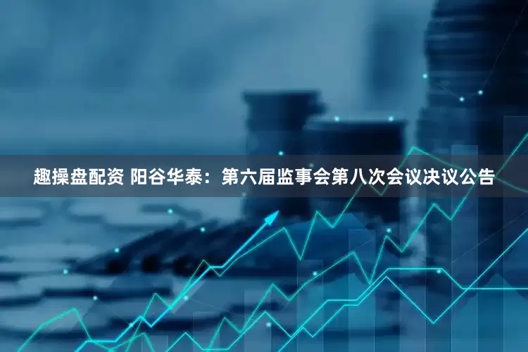 趣操盘配资 阳谷华泰：第六届监事会第八次会议决议公告